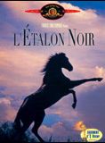 L’Etalon noir