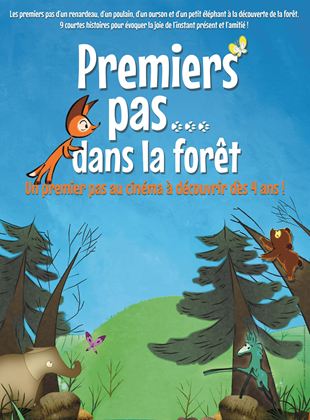 Premiers pas dans la forêt