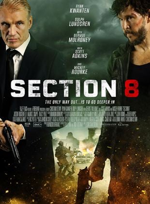 Section 8