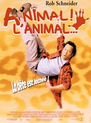 Animal ! L’animal…